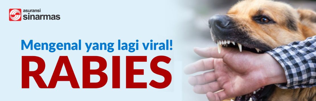 Mengenal yang Lagi Viral! RABIES