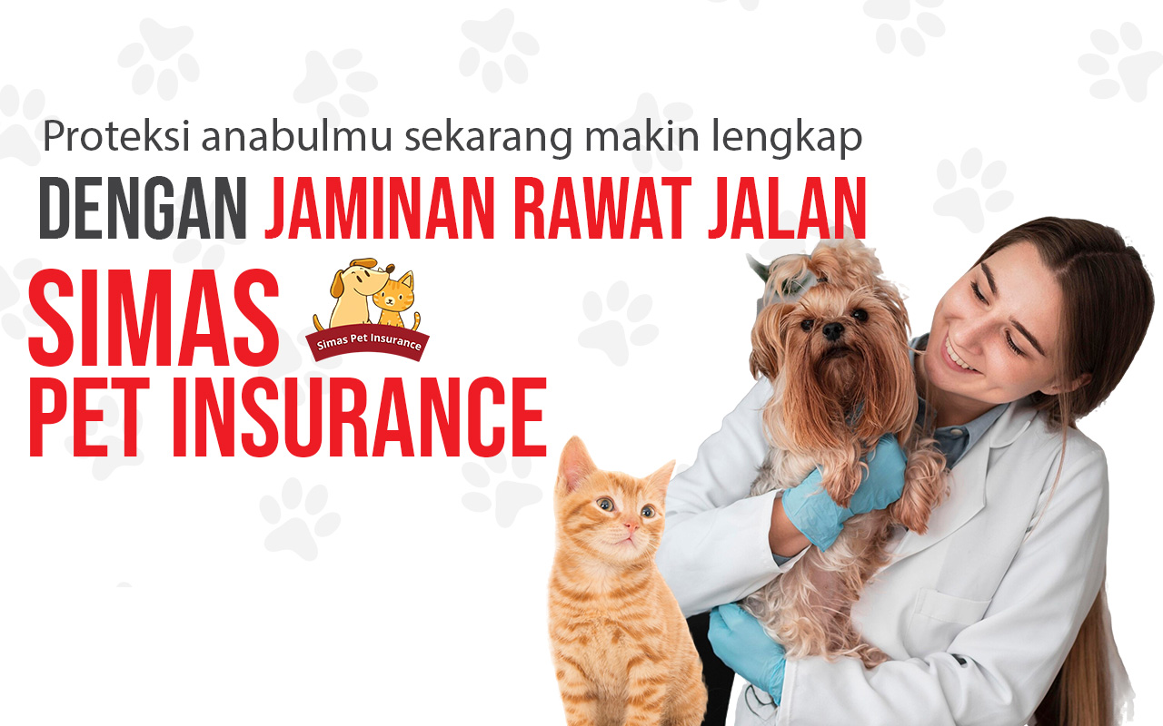 promo info bulan november 2024 simas mobil pet insurance